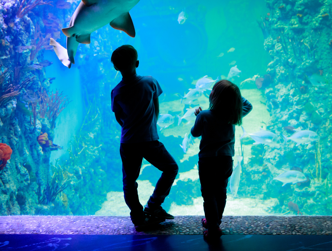 Rekomendasi Tempat Wisata Edukatif Anak, Cocok untuk Liburan!