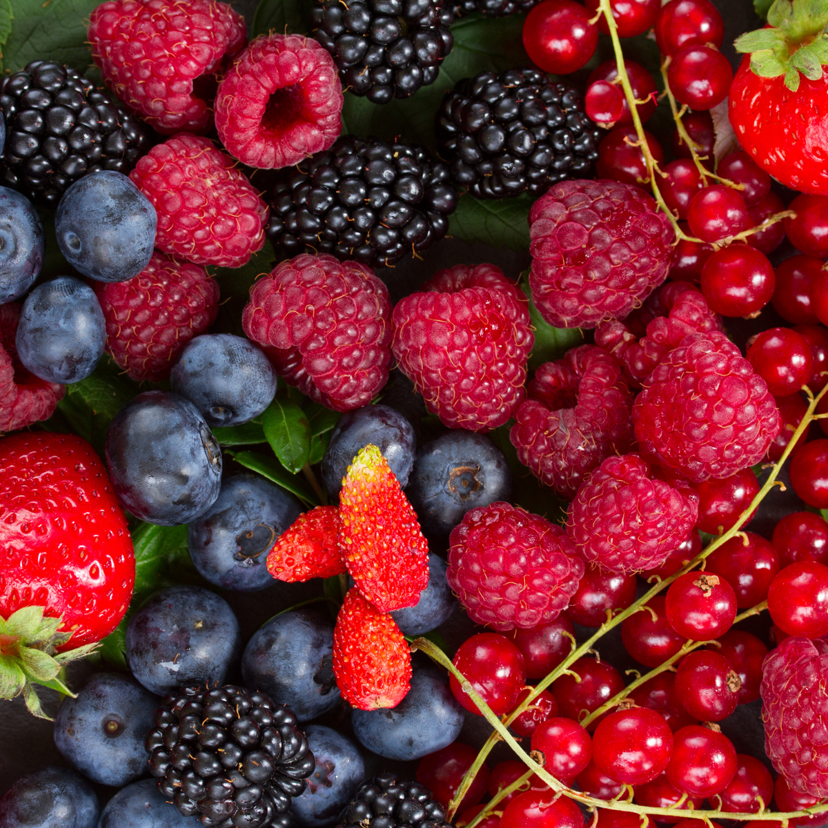 Moms, Yuk Kenalan dengan Manfaat Buah Berries untuk Si Kecil