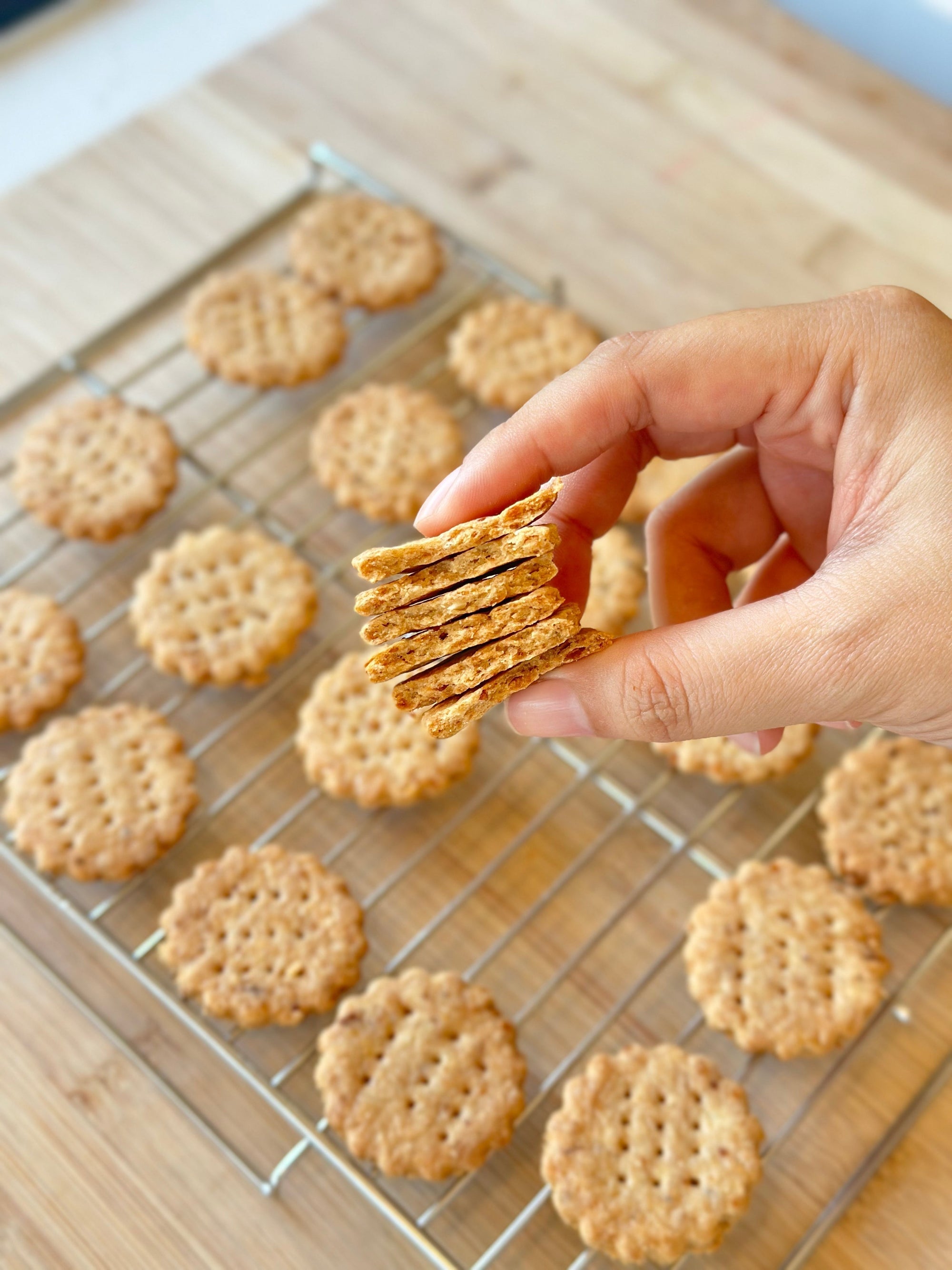 Savory Abon Cheese Crackers (60 Mins)